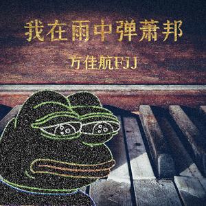 我在雨中弹萧邦
