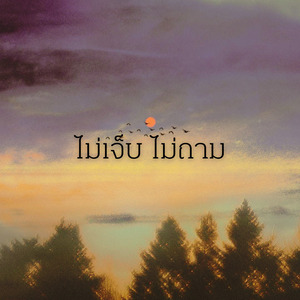 ไม่เจ็บ ไม่ถาม