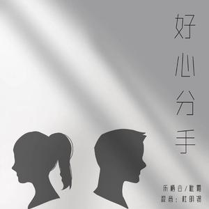 好心分手（Cover 王力宏/卢巧音）（翻自 王力宏）