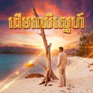 ដើមឈើស្នេហ៍