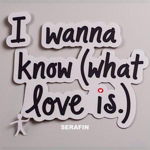 I WANNA KNOW (What Love Is) (Extended Mix)