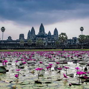 ស្រណោះដីខ្មែរ Khmer Priortiy Land