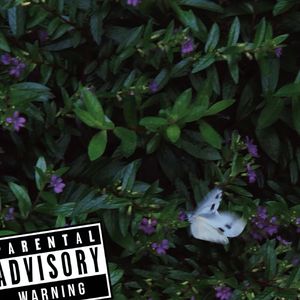 Bonjour（prod by：GALA$XXY）