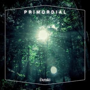 Primordial