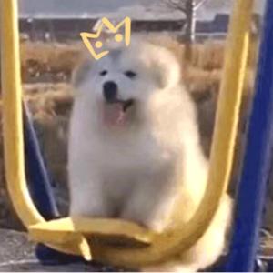 迪士尼公主在逃十六周年纪念日 (prod. KhemLee)