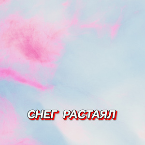 СНЕГ РАСТАЯЛ