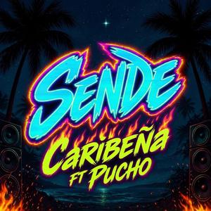 Sende (feat. Pucho)