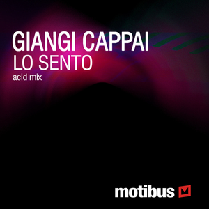 Lo Sento (Acid mix)