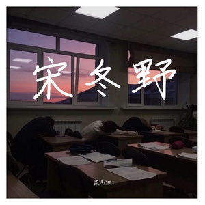 我不是你的宋冬野