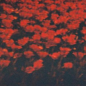 Тази утеха (feat. STORMYWAVVES)