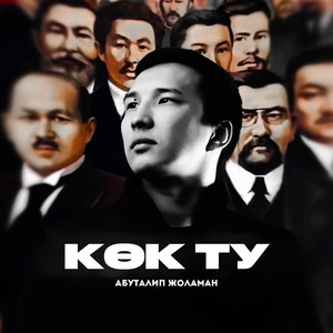 Көк ту