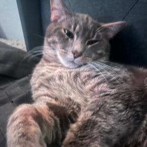 All i wna see is red