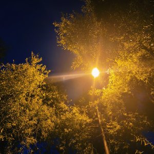 繁星，轻风，和你