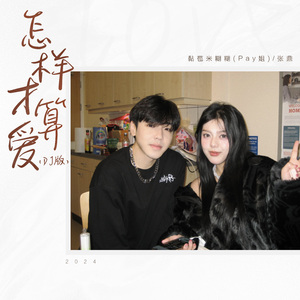 怎样才算爱（DJ版）