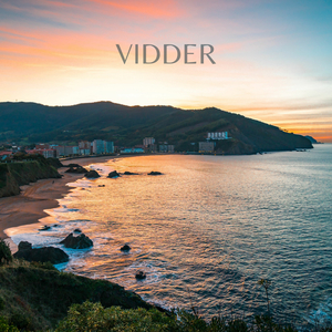 Vidder