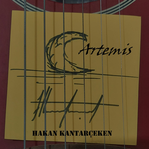 Artemis