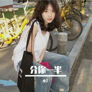 分你一半（小7 remix）