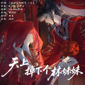 天上掉下个林妹妹