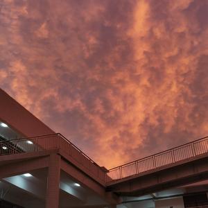 牵丝戏（宿舍合唱版）