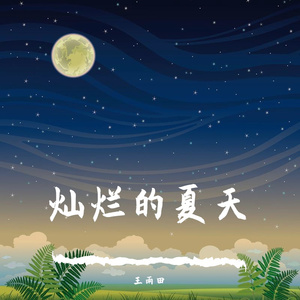 灿烂的夏天