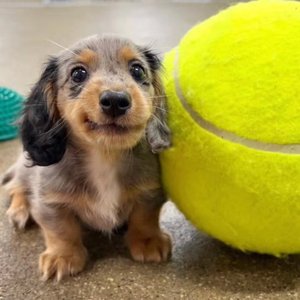 把我的青春埋葬