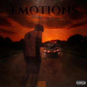 EMOTIONS