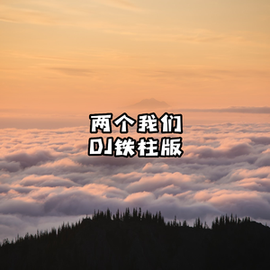 两个我们（DJ铁柱版）
