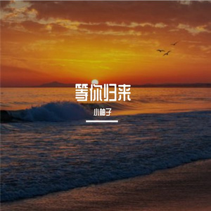 等你归来
