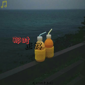 那时正好(翻自：赵振豪)（翻自 赵振豪）