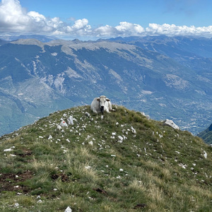 Cosa Resterà