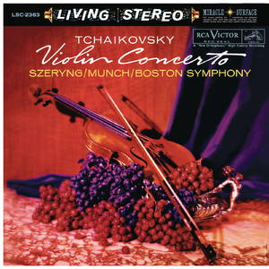 Violin Concerto in D Major, Op. 35, TH 59:I. Allegro moderato