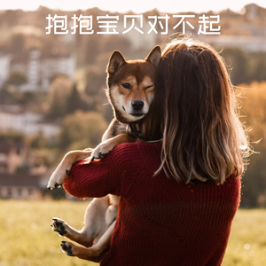 抱抱宝贝对不起