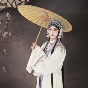 十五贯 (秦腔版)