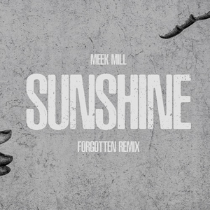 Sunshine (DJ FORGOTTEN Remix)