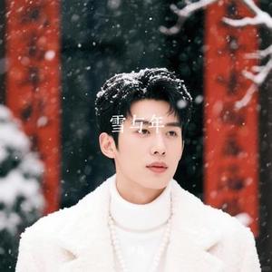 静谧雪原梦乡