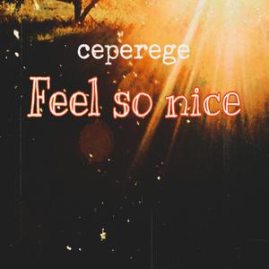 Feel So Nice
