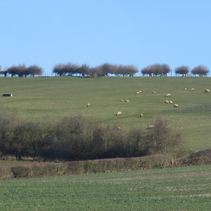 The Odyssey (Hypercube System)