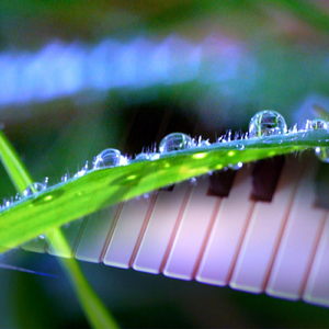 They'll Always Be A Place