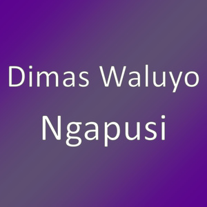 Ngapusi