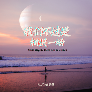 我们不过是相识一场