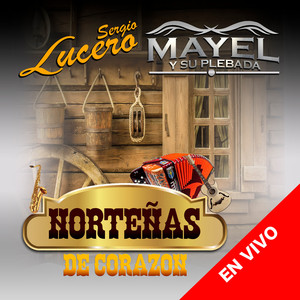 Se Va Muriendo Mi Alma (En Vivo)