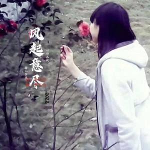 风起意尽