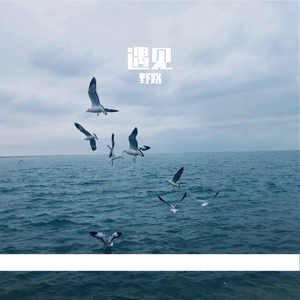 遇见（钢琴曲）