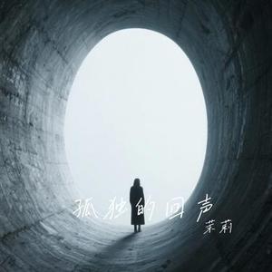 孤独的回声
