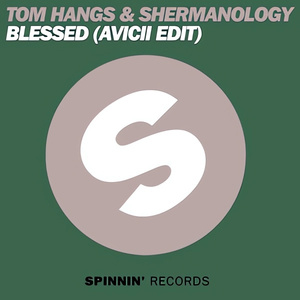 Blessed (Avicii Edit) (Aylen Remix)