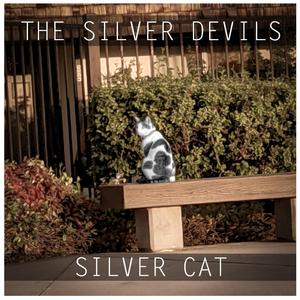 Silver Cat
