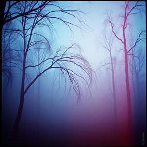 Thứ Hai Của Tuổi Trẻ