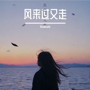 风来过又走