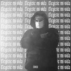 Elegiste Mi Vida