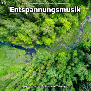 Entspannungsmusik, Pt. 48